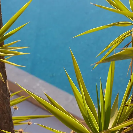 The Roc Club, A Grecotel To Live Hotel 5*